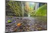 Water Pours from the Walls of Eagle Creek Canyon after a Recent Rainstorm, in Oregon-Ben Coffman-Mounted Photographic Print