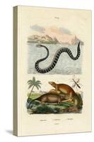 Water Rat, 1833-39-null-Stretched Canvas