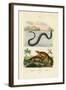 Water Rat, 1833-39-null-Framed Giclee Print