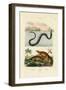 Water Rat, 1833-39-null-Framed Giclee Print