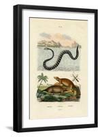 Water Rat, 1833-39-null-Framed Giclee Print