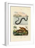 Water Rat, 1833-39-null-Framed Giclee Print