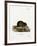 Water Rat-null-Framed Giclee Print