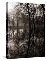 Water Reflecting the Trees of Victoria Park-null-Stretched Canvas