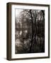 Water Reflecting the Trees of Victoria Park-null-Framed Photographic Print