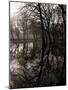 Water Reflecting the Trees of Victoria Park-null-Mounted Photographic Print