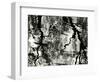 Water Reflection, Europe, 1971-Brett Weston-Framed Photographic Print