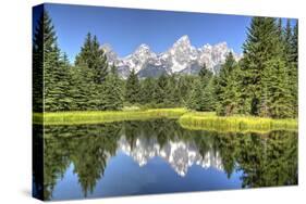 Water Reflection of the Teton Range-Richard Maschmeyer-Stretched Canvas