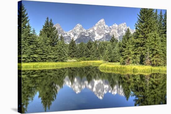 Water Reflection of the Teton Range-Richard Maschmeyer-Stretched Canvas