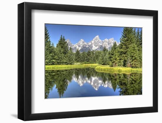 Water Reflection of the Teton Range-Richard Maschmeyer-Framed Photographic Print