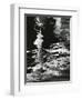 Water, Reflections, 1970-Brett Weston-Framed Photographic Print