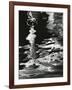 Water, Reflections, 1970-Brett Weston-Framed Photographic Print