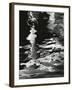 Water, Reflections, 1970-Brett Weston-Framed Photographic Print