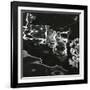 Water, Reflections, 1971-Brett Weston-Framed Photographic Print