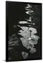 Water, Reflections, 1971-Brett Weston-Framed Photographic Print