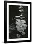 Water, Reflections, 1971-Brett Weston-Framed Photographic Print