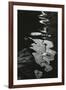 Water, Reflections, 1971-Brett Weston-Framed Photographic Print