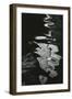 Water, Reflections, 1971-Brett Weston-Framed Photographic Print