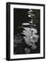 Water, Reflections, 1971-Brett Weston-Framed Photographic Print