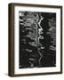 Water, Reflections, 1971-Brett Weston-Framed Photographic Print