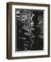 Water, Reflections, 1971-Brett Weston-Framed Photographic Print