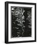 Water, Reflections, 1971-Brett Weston-Framed Photographic Print