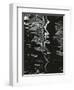 Water, Reflections, 1971-Brett Weston-Framed Photographic Print