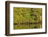 Water reflections, Browning Passage, North Vancouver Island, British Columbia, Canada-Stuart Westmorland-Framed Photographic Print