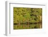 Water reflections, Browning Passage, North Vancouver Island, British Columbia, Canada-Stuart Westmorland-Framed Photographic Print