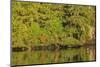 Water reflections, Browning Passage, North Vancouver Island, British Columbia, Canada-Stuart Westmorland-Mounted Photographic Print