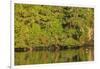 Water reflections, Browning Passage, North Vancouver Island, British Columbia, Canada-Stuart Westmorland-Framed Photographic Print