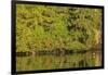 Water reflections, Browning Passage, North Vancouver Island, British Columbia, Canada-Stuart Westmorland-Framed Photographic Print