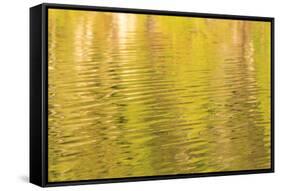 Water reflections, Browning Passage, Northern Vancouver Island, British Columbia, Canada-Stuart Westmorland-Framed Stretched Canvas