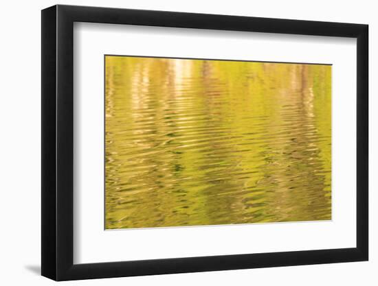 Water reflections, Browning Passage, Northern Vancouver Island, British Columbia, Canada-Stuart Westmorland-Framed Photographic Print