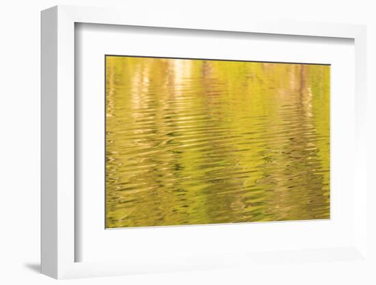 Water reflections, Browning Passage, Northern Vancouver Island, British Columbia, Canada-Stuart Westmorland-Framed Photographic Print