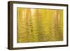 Water reflections, Browning Passage, Northern Vancouver Island, British Columbia, Canada-Stuart Westmorland-Framed Photographic Print