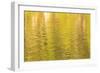 Water reflections, Browning Passage, Northern Vancouver Island, British Columbia, Canada-Stuart Westmorland-Framed Photographic Print