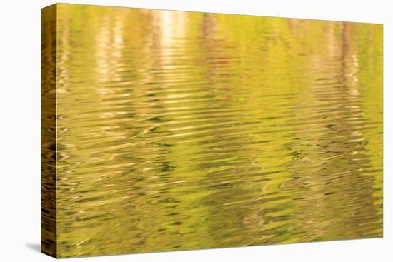 Water reflections, Browning Passage, Northern Vancouver Island, British Columbia, Canada-Stuart Westmorland-Stretched Canvas