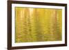 Water reflections, Browning Passage, Northern Vancouver Island, British Columbia, Canada-Stuart Westmorland-Framed Photographic Print