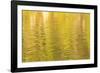 Water reflections, Browning Passage, Northern Vancouver Island, British Columbia, Canada-Stuart Westmorland-Framed Photographic Print