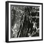 Water, Reflections, c. 1970-Brett Weston-Framed Photographic Print