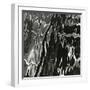 Water, Reflections, c. 1970-Brett Weston-Framed Photographic Print