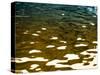 Water Reflections-Savanah Plank-Stretched Canvas