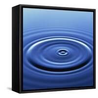 Water Ripples from Droplet-Roy Rainford-Framed Stretched Canvas