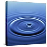 Water Ripples from Droplet-Roy Rainford-Stretched Canvas