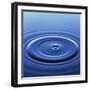 Water Ripples from Droplet-Roy Rainford-Framed Photographic Print