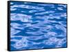 Water Ripples in Swimming Pool, Grande Terre, Guadaloupe, Caribbean-Walter Bibikow-Framed Stretched Canvas