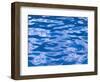 Water Ripples in Swimming Pool, Grande Terre, Guadaloupe, Caribbean-Walter Bibikow-Framed Photographic Print