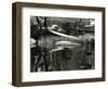 Water, Rock and Trees, High Sierra, 1977-Brett Weston-Framed Photographic Print