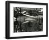 Water, Rock and Trees, High Sierra, 1977-Brett Weston-Framed Photographic Print